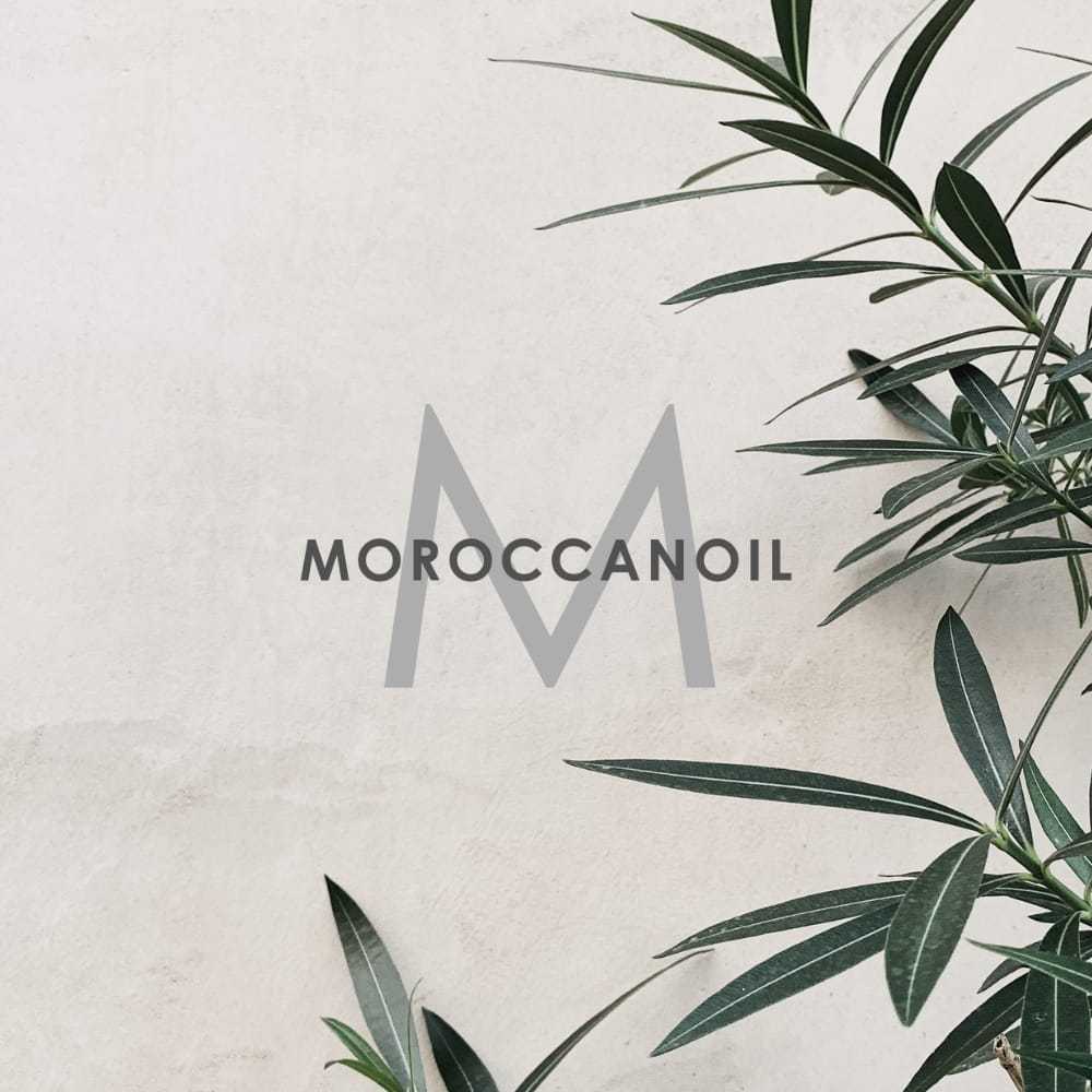 Moroccanoil logo on a light background with green plant leaves in the corners.